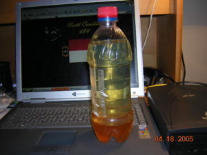 random 012.jpg