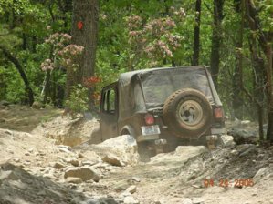 BBjeep2.JPG