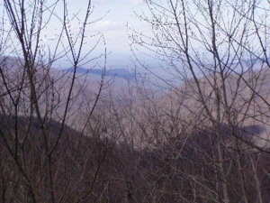 tellico3-05025.jpg