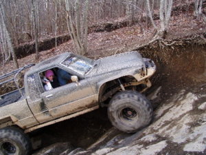 Chase 2.jpg
