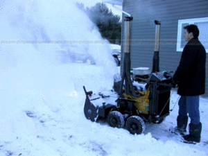 bbb2.gif