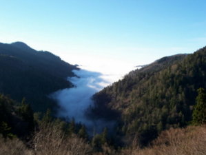 cloud 3.jpg