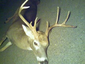 brian_ky_buck.jpg