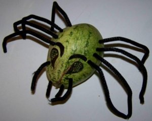 spider-melon.jpg