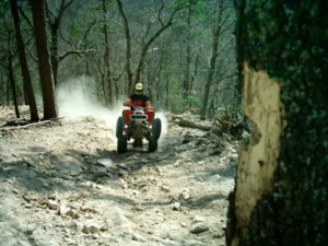 uwharrie wheelie.jpg