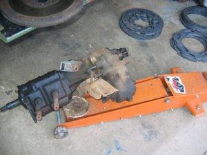IMG_2558.jpg