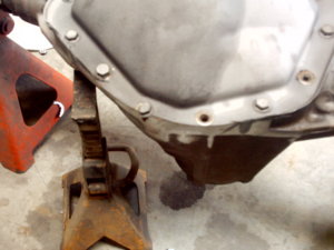 IMAG0082.JPG