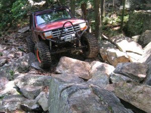 IMG_3878_1_1.jpg