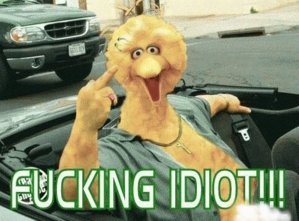 bigbird things your dumb.jpg