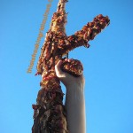 bacon-gun-150x150.jpg bacon-gun-150x150.jpg