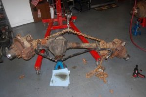 090820_dana60_2.JPG