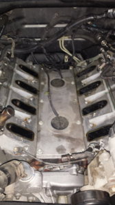 20140403_222543.jpg