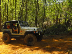 DSCF4060.JPG