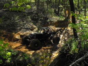 DSCF4063.JPG