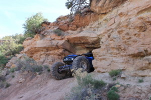 IMG_7866.JPG