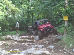 Golden Mtn. June 2014 004.JPG