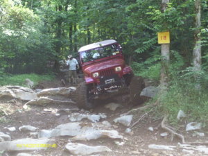 Golden Mtn. June 2014 005.JPG