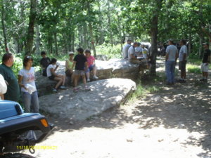 Potts Mtn. July 2014 013.JPG