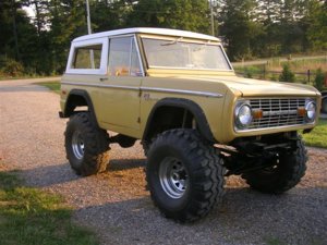 bronco pic.jpg