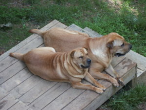 PICT0057.JPG
