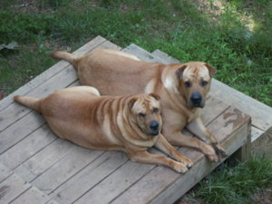 PICT0054.JPG