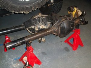 D60 Cut.jpg