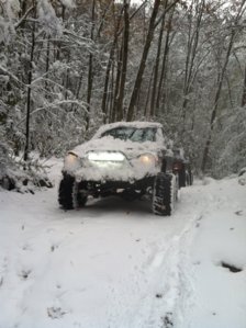 IMG_2064.jpg