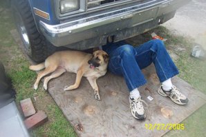 JIFFY LUBE DOG 2.jpg