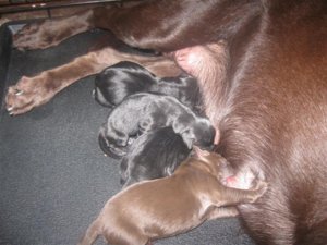 IMG_4520 (Medium).jpg IMG_4520 (Medium).jpg