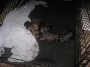 IMG_4525 (Medium).jpg IMG_4525 (Medium).jpg