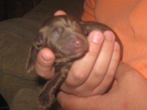 IMG_4527 (Medium).jpg IMG_4527 (Medium).jpg