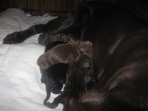 IMG_4529 (Medium).jpg IMG_4529 (Medium).jpg