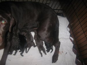 IMG_4531 (Medium).jpg IMG_4531 (Medium).jpg