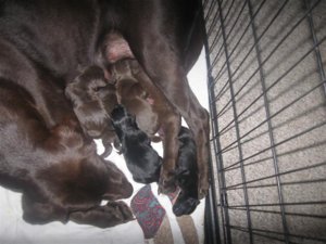 IMG_4539 (Medium).jpg IMG_4539 (Medium).jpg