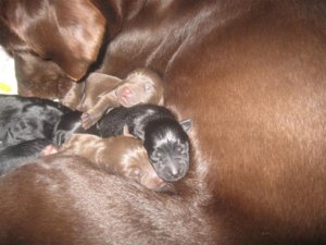 IMG_4543 (Medium).jpg IMG_4543 (Medium).jpg