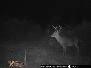 10pt.jpg 10pt.jpg