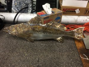 sea trout 2 .JPG