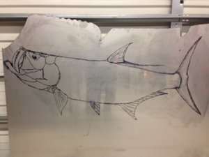 Tarpon 1.JPG