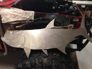 tarpon 2 .JPG