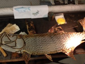 tarpon 4.JPG