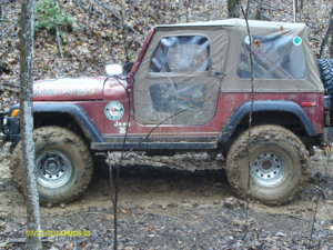 Big Creek March 2015 013.JPG