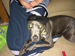 image.jpeg image.jpeg
