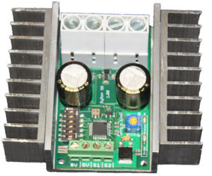 SyRen50.jpg