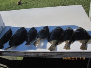 Hatteras 7-2010 004.jpg