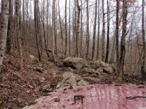 Rock Crawling 2010 157.jpg