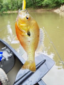 20160707_191234.jpg 20160707_191234.jpg