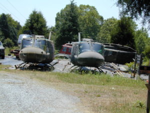 Picture 007.jpg