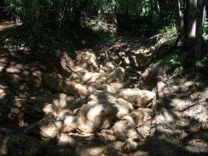 trails system.jpg