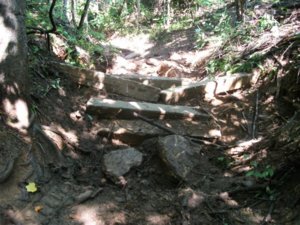 4x4 pics 005.jpg
