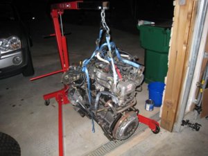 IMG_1970.jpg